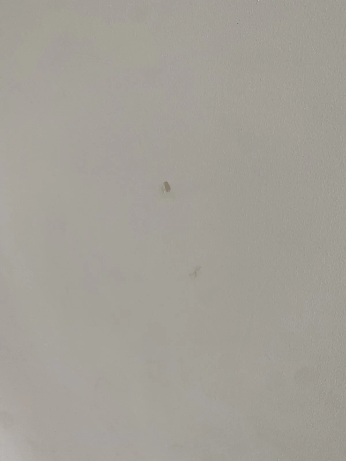 Clean white wall