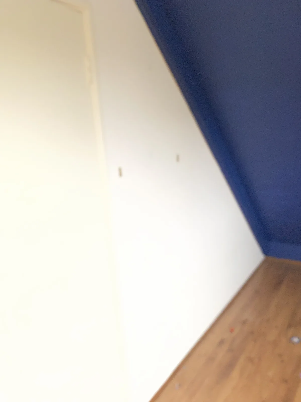 Bold blue feature room before