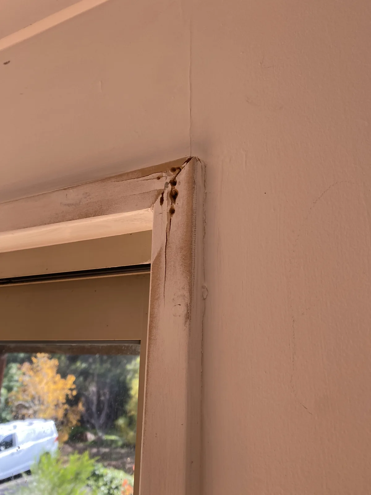 Rotted architrave before