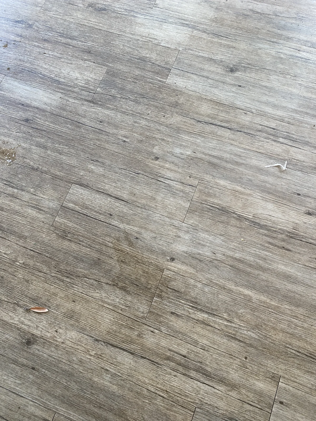 Hazy vinyl floor before